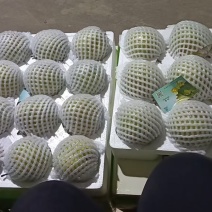 隰县玉露香梨