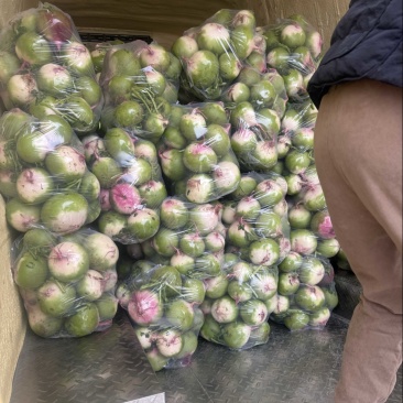 需要的可以联系我