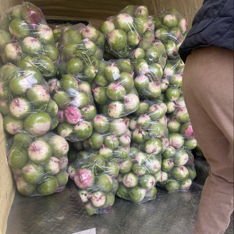 需要的可以联系我