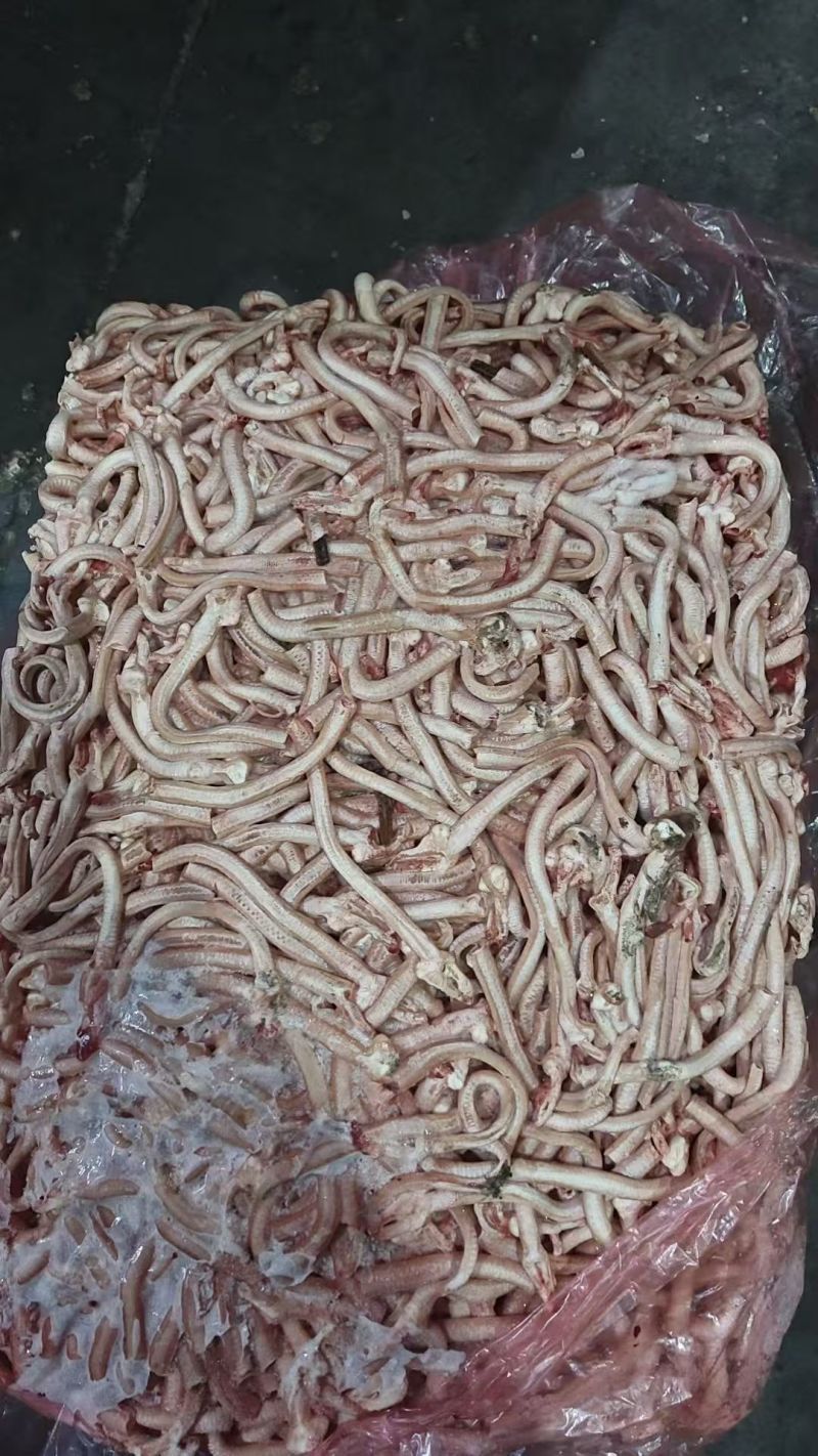 鸭气管