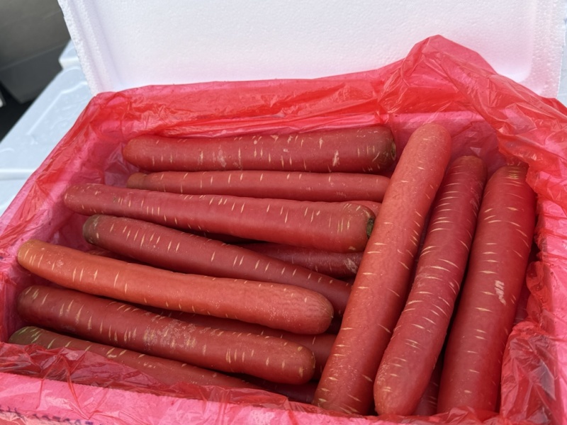精品水果红萝卜现货供应货源充足质量好品质保证