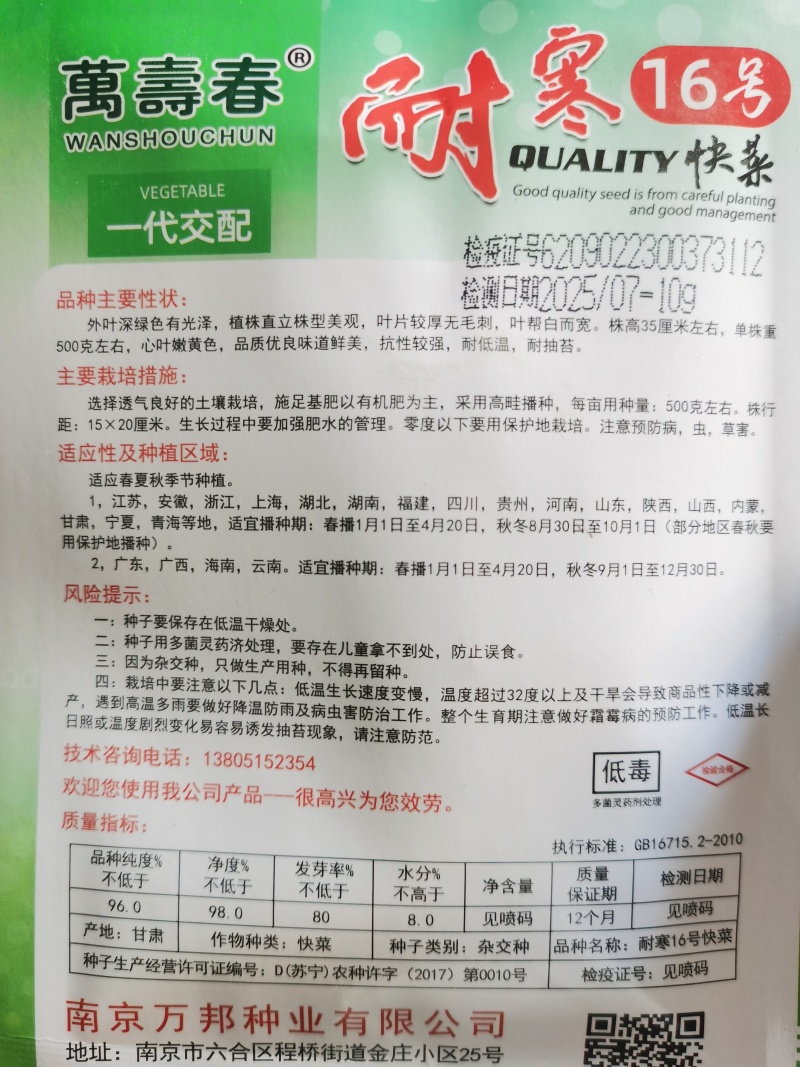 光速快菜种子速生美味20天上市无筋口感小颗大颗都美味