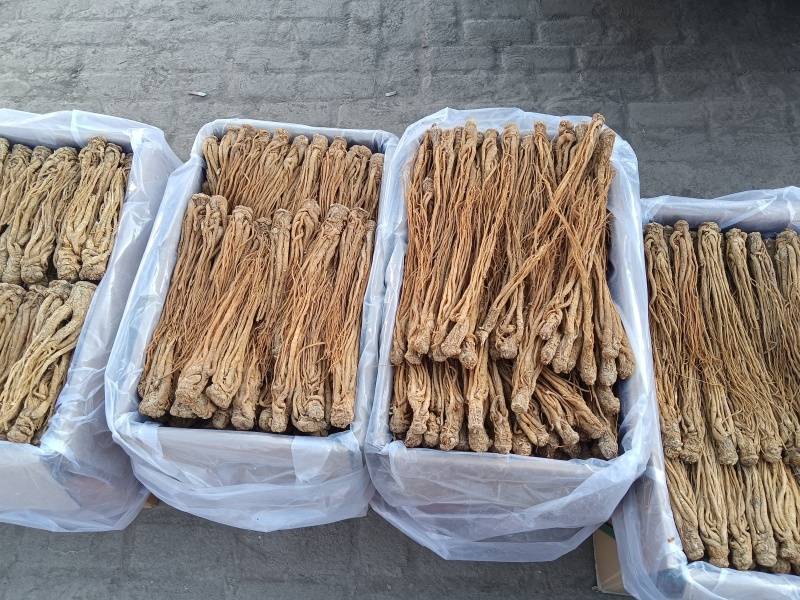 精品水洗黄当归有硫产地直发一手货源