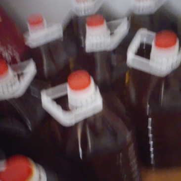 纯野生山茶油