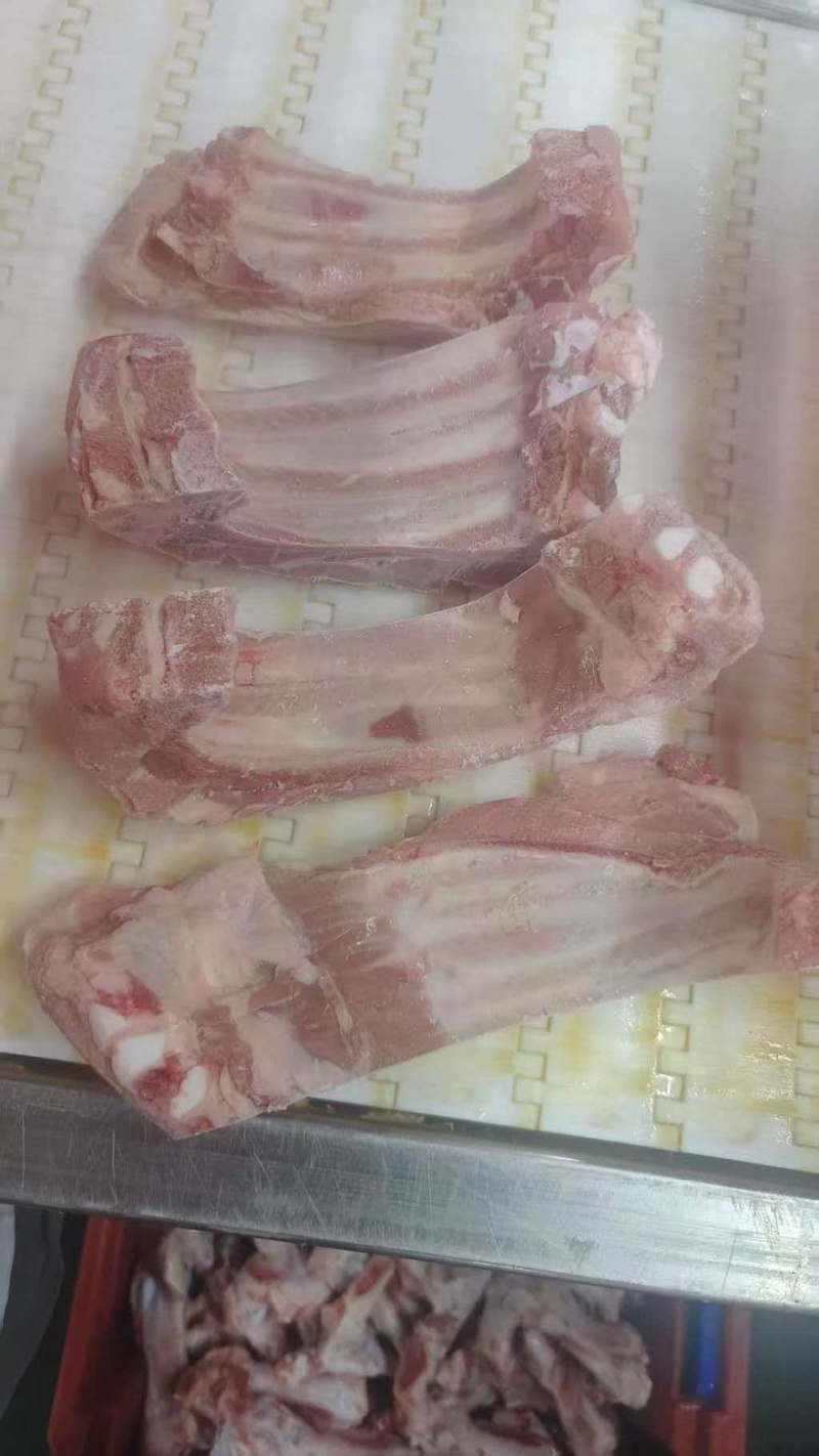 肥猪前排条