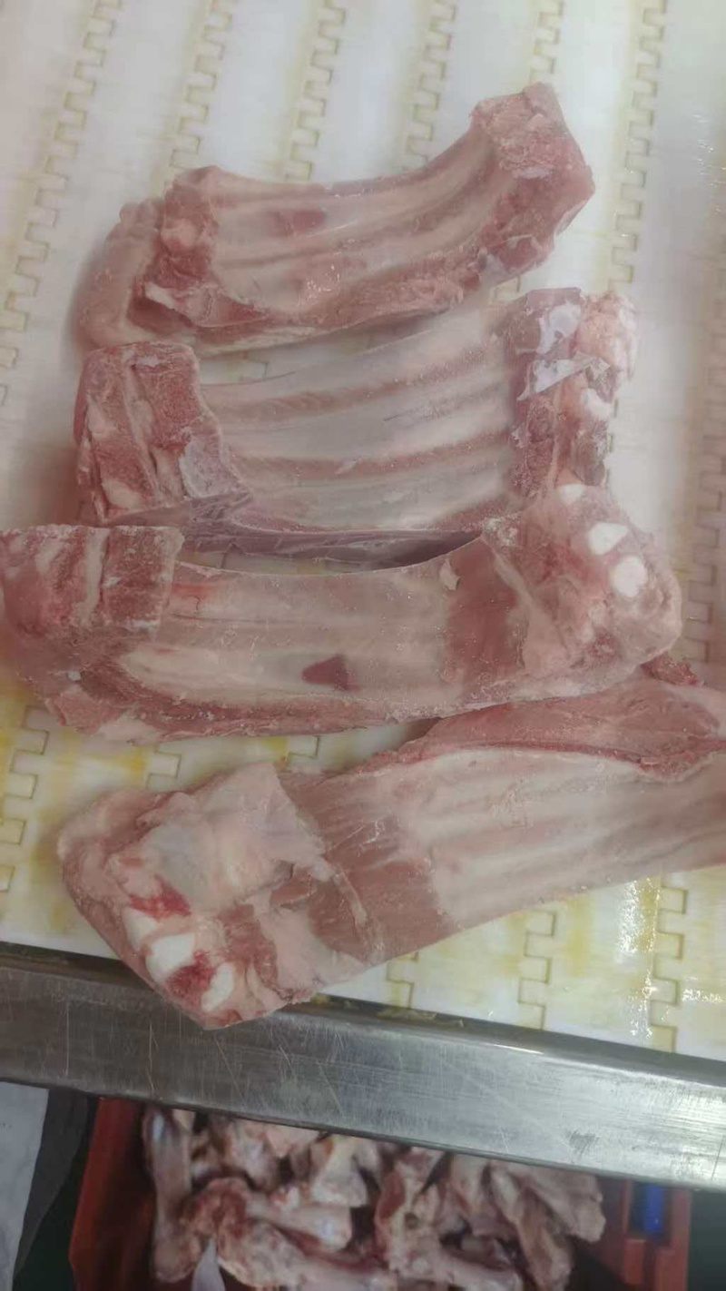 肥猪前排条