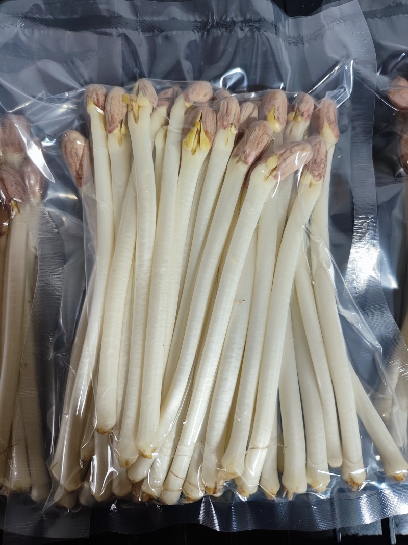 水培花生芽长寿芽清脆爽口火锅食材货源充足欢迎联
