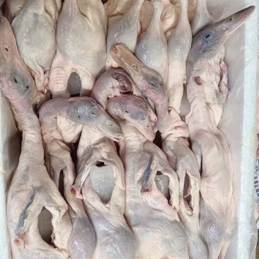 一级小麻鸭全规格