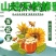 阿坝深山土蜂蜜