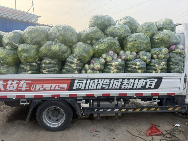 需要的可以联系我