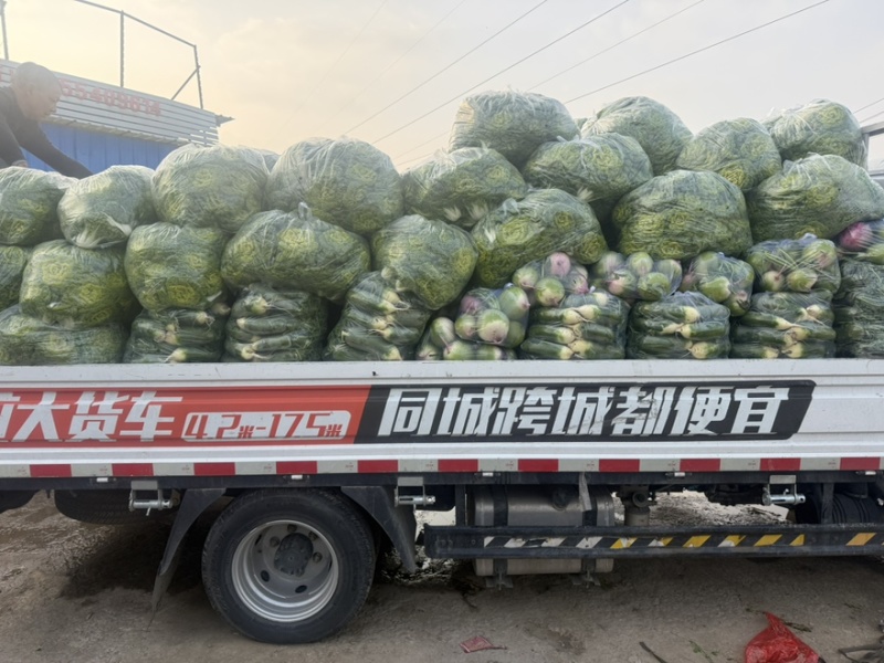 需要的可以联系我