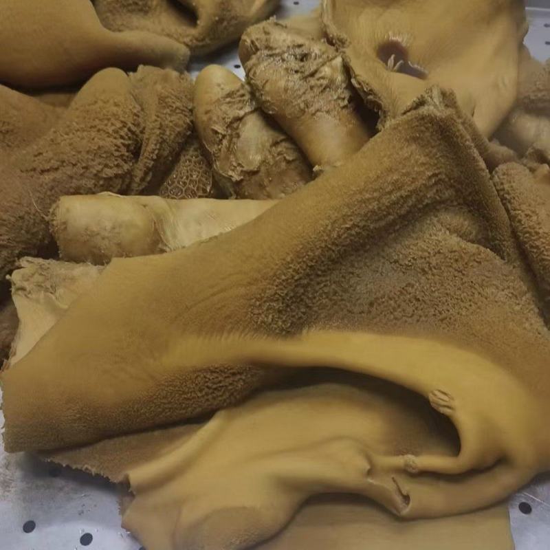 熟牛肚