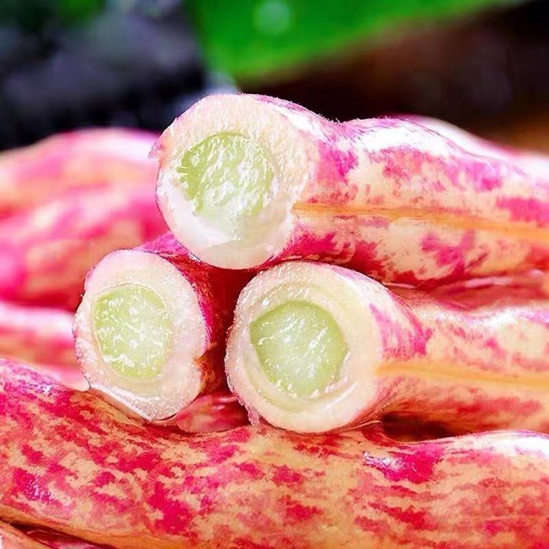 红冠一号红金钩豆角种子高产油豆角种子红油红金钩豆角种子