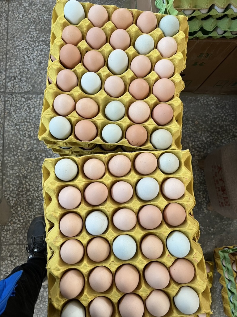 常年供应土鸡蛋量大从优破损包赔售后无忧