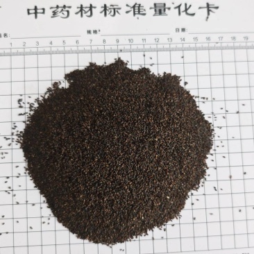 车前子！江西货，高含量！产地一手货源，量大可以优惠！