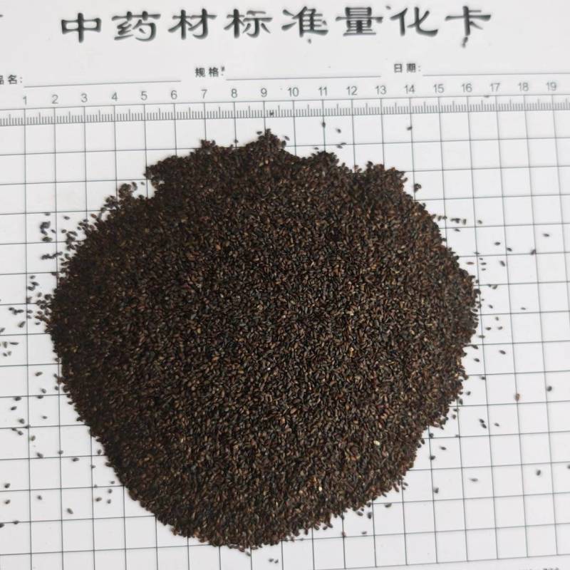 车前子！江西货，高含量！产地一手货源，量大可以优惠！