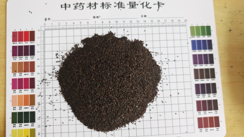 车前子！江西货，高含量！产地一手货源，量大可以优惠！