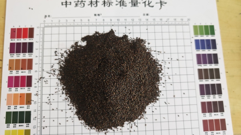 车前子！江西货，高含量！产地一手货源，量大可以优惠！