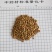 牵牛子！白丑，颗粒饱满，无杂质！产地一手货源，量大价优！
