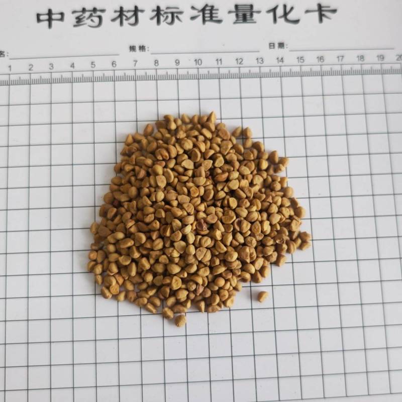 牵牛子！白丑，颗粒饱满，无杂质！产地一手货源，量大价优！