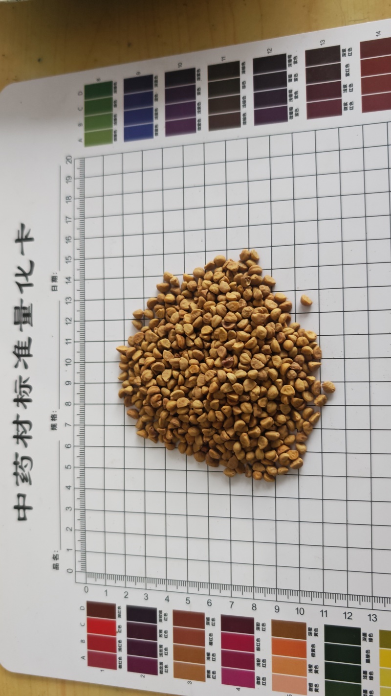 牵牛子！白丑，颗粒饱满，无杂质！产地一手货源，量大价优！