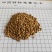 牵牛子！白丑，颗粒饱满，无杂质！产地一手货源，量大价优！