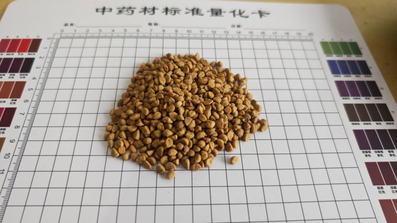 牵牛子！白丑，颗粒饱满，无杂质！产地一手货源，量大价优！