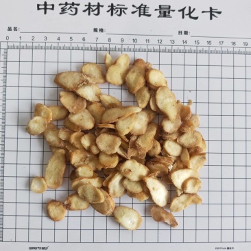 水半夏！自己加工，颜色好。量大价格可以优惠！