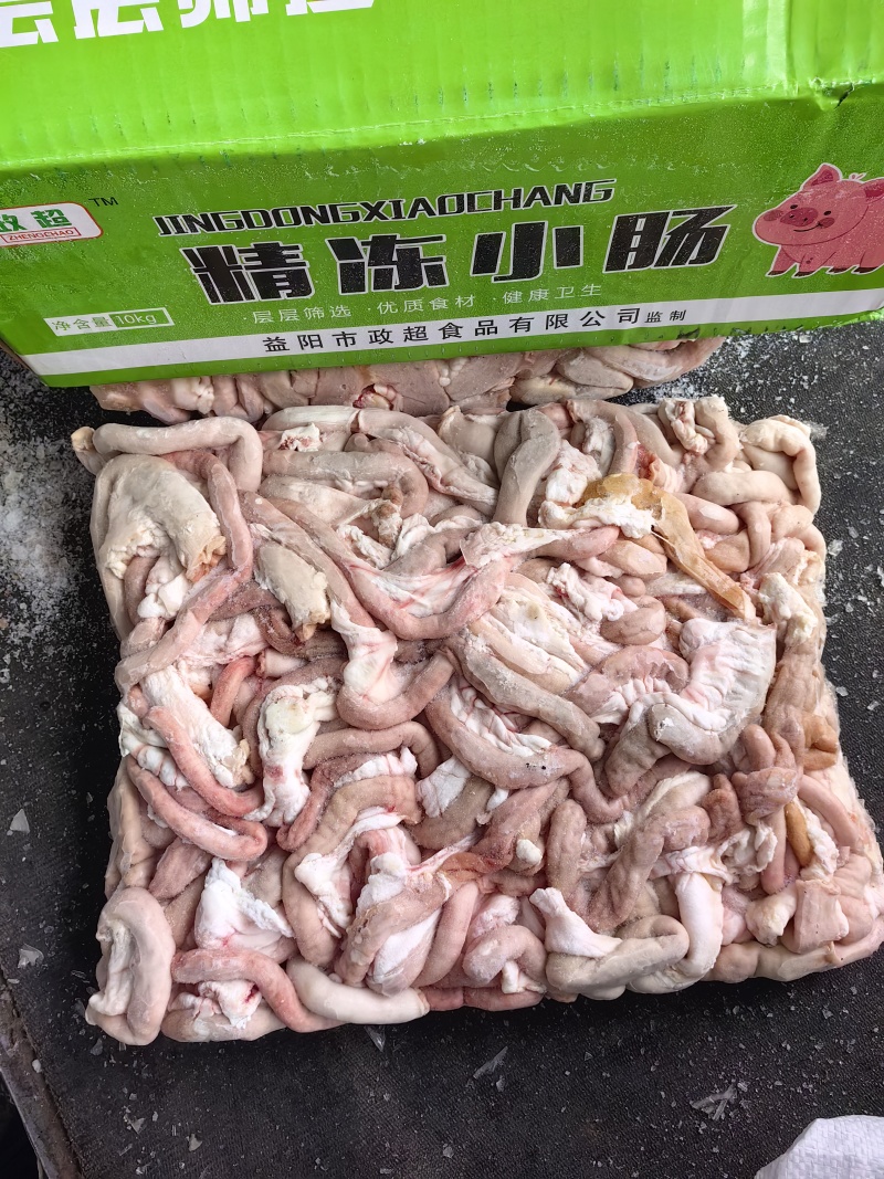 十二指肠