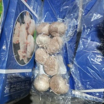 【推荐】富其康肚包肉处理肚包肉255一件，就20件