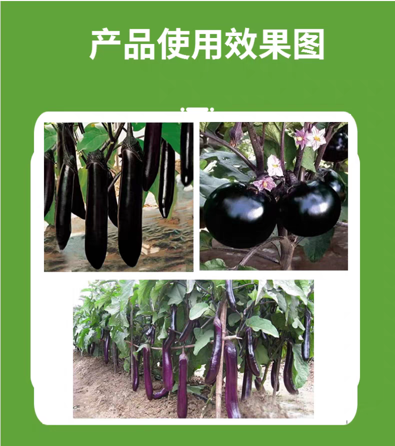 退花素茄子退花素茄子免拾花茄子翻花素西红柿退花