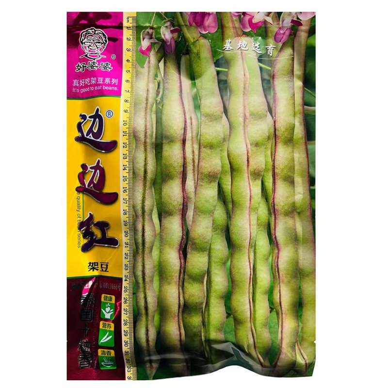 春秋边边红四季豆种子架豆种紫红豆角种子紫红四季豆种子蔬菜