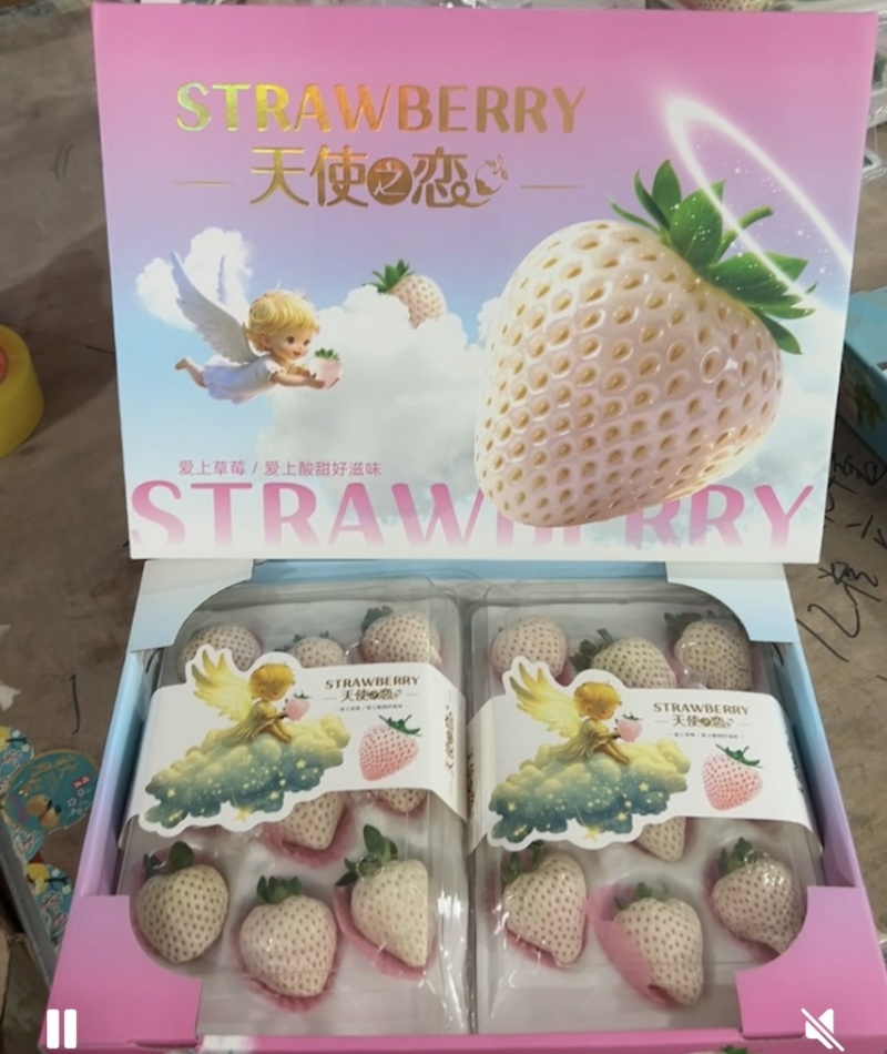 淡雪天使梦之莹白草莓产地直供代收