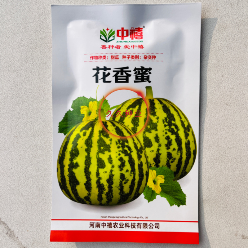 花香蜜甜瓜种子中早熟高产抗病花皮香瓜种籽孑阳台盆栽