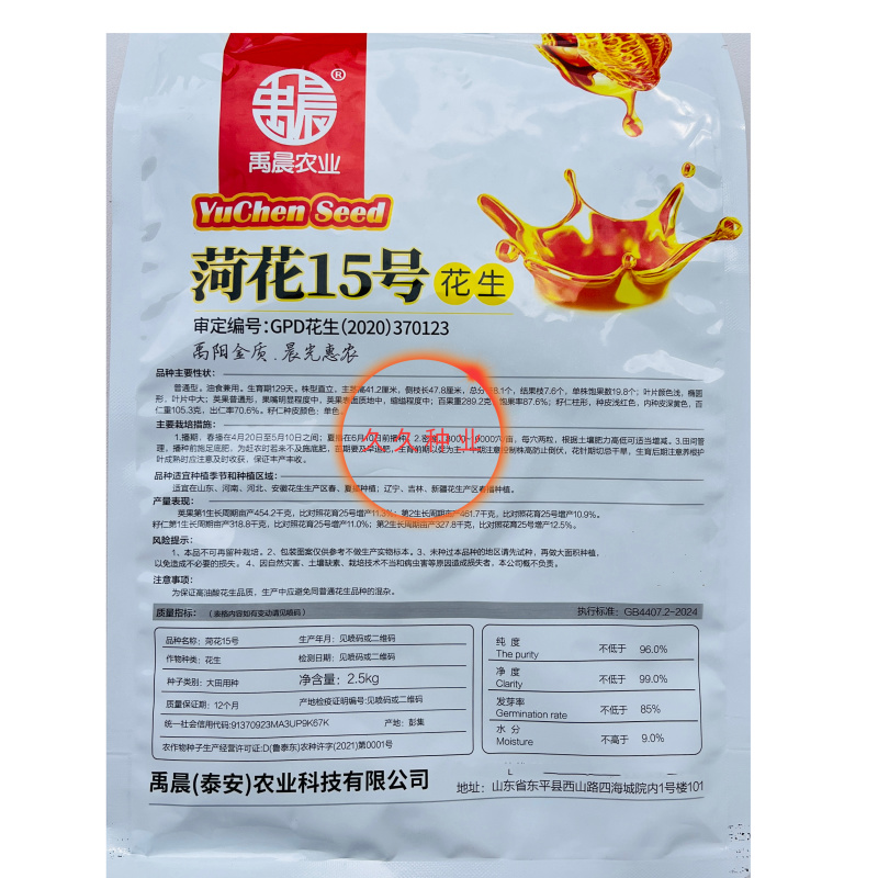 菏花15号花生种子高产高油矮株耐旱抗病抗倒伏