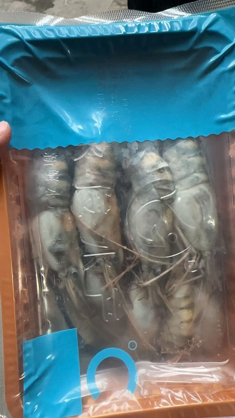 罗氏虾，沼虾，罗氏沼虾