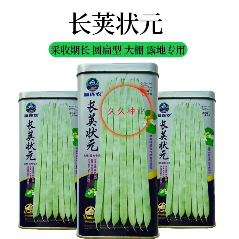 长荚状元芸豆种子白荚四季豆架豆种子无筋高产早熟长豆角种子