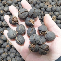 纯野生山核桃奶香味原味椒盐味大量现货