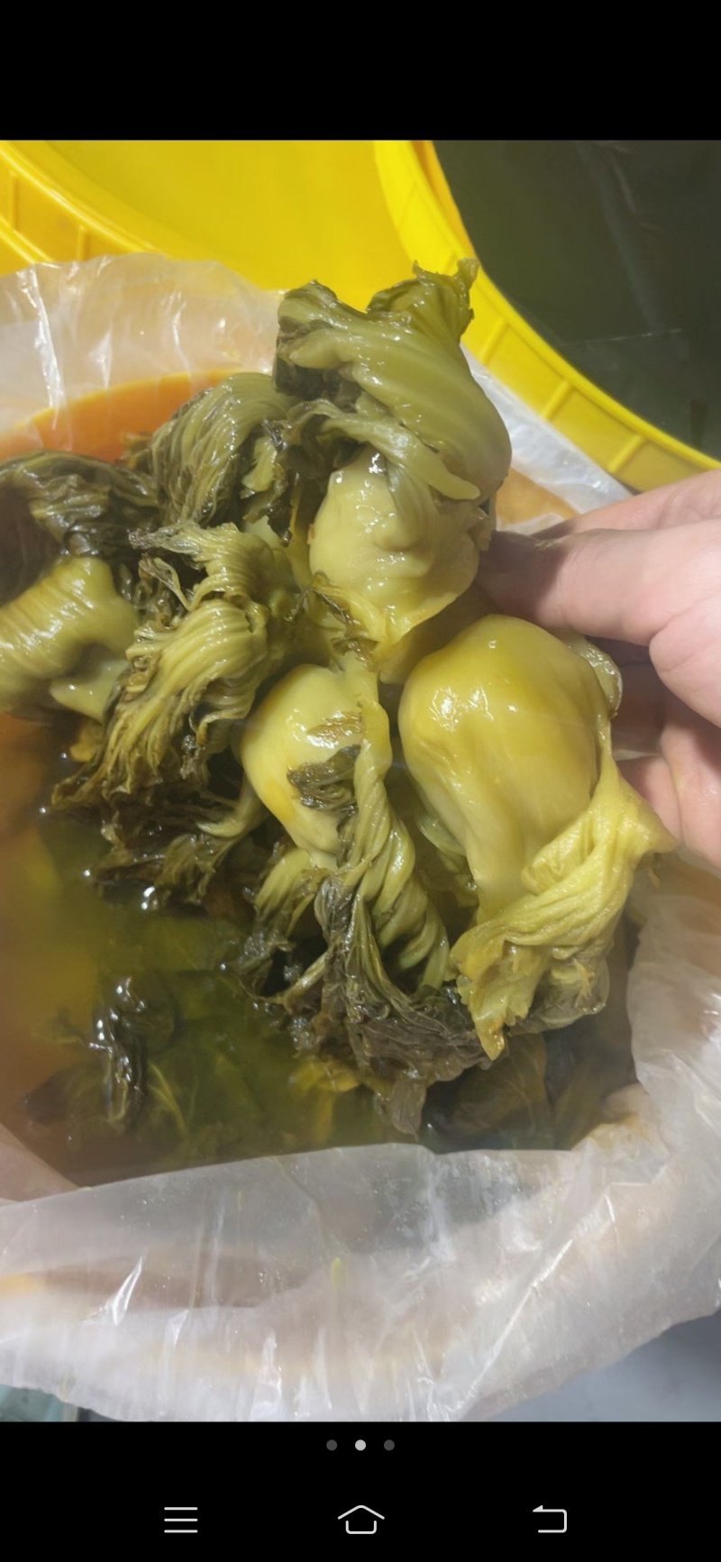 精品腌制雪里红大叶及小叶，可对接各大工厂及市场，货量充足
