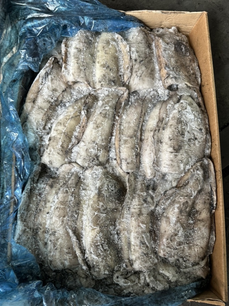 600/1000墨鱼。纯干