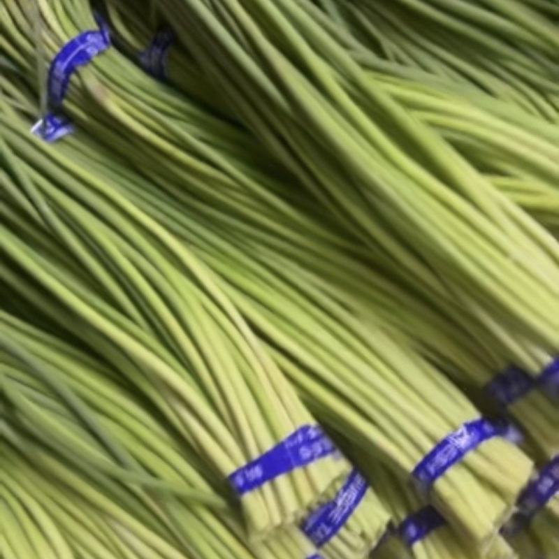 （精品金乡蒜苔）山东蒜薹/自家种植/产地货源/全国供应