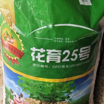 花育25花生种子一级原种大果高产花生种子花育25正品保证