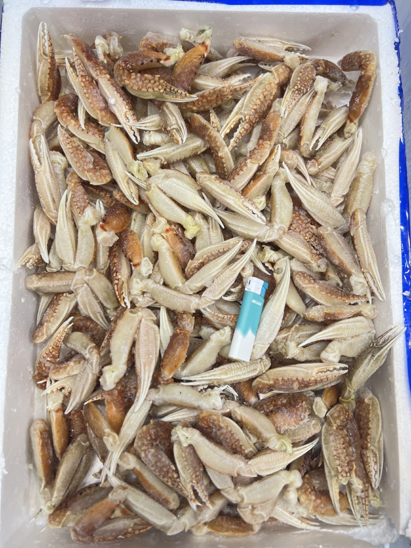 专用补拍链接邮费差价补差价专拍补多少元拍多少件1元
