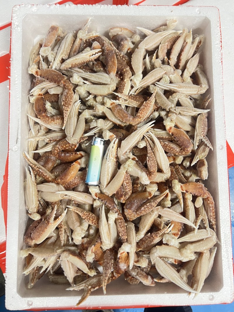 专用补拍链接邮费差价补差价专拍补多少元拍多少件1元
