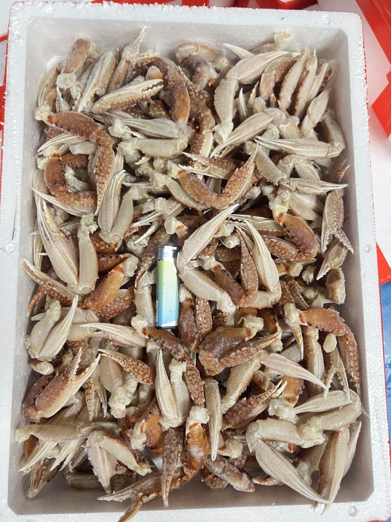 专用补拍链接邮费差价补差价专拍补多少元拍多少件1元