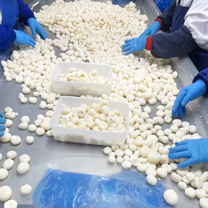 广西速冻马蹄丁面点馅料源头工厂