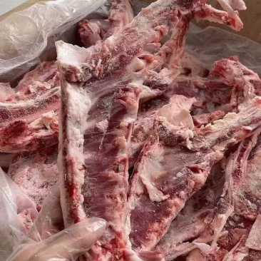 羊燕翅骨
