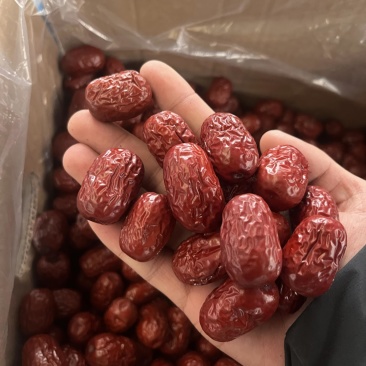 新疆灰枣特级，厂家直销！各种规格级别齐全