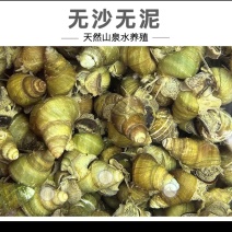 山泉水竹排清水螺