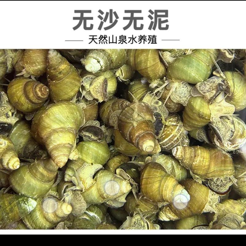 山泉水竹排清水螺